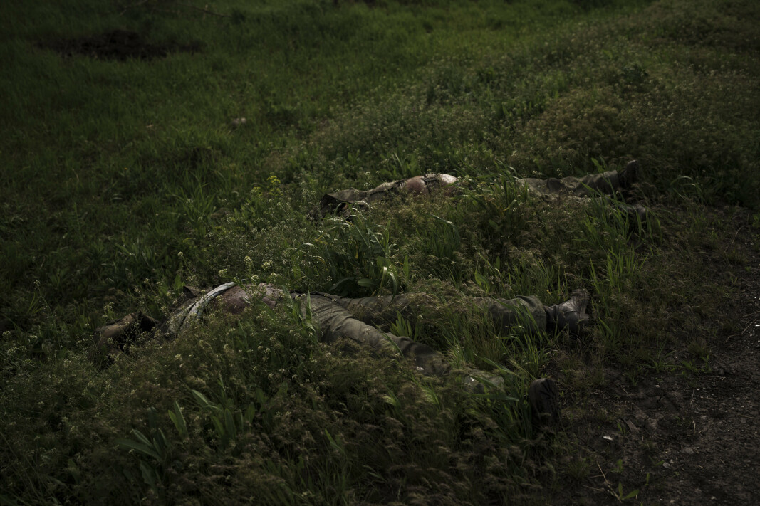KHARKIV: Falne russiske soldater i gresset utenfor Kharkiv.