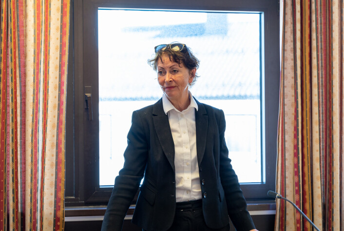 BISTANDSADVOKAT: Ingunn Tøllefsen representerer fornærmede i saken. BISTANDSADVOKAT: Ingunn Tøllefsen representerer fornærmede i saken.
