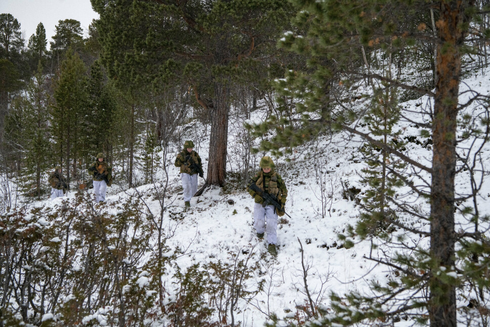 FØRSTEGANGSTJENESTEN: Vernepliktige HV-17 soldater på oppklaringsoppdrag i skogen i Porsangermoen