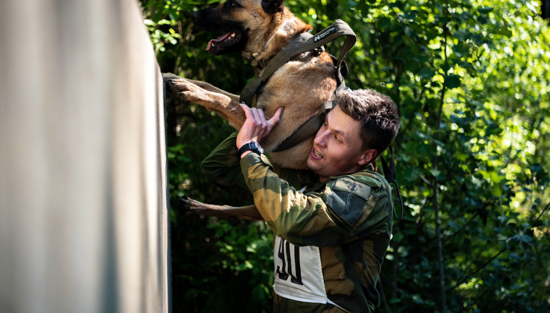 hundeførerløp sessvollmoen, forsvarets kunderøkterer konkurrerer mot politiets hundepatrulje gjennom en krevende løype på 10 km.