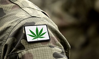 Vil la tidligere cannabis-brukere jobbe i CIA