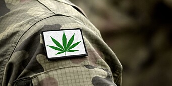 Vil la tidligere cannabis-brukere jobbe i CIA