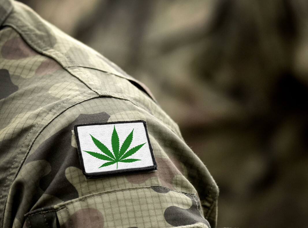 GRØNT PÅ GRØNT: Personer som tidligere har røyket marihuana kan får jobb i amerikanske etterretningstjenester, dersom lovforslaget blir vedtatt. GRØNT PÅ GRØNT: Personer som tidligere har røyket marihuana kan får jobb i amerikanske etterretningstjenester, dersom lovforslaget blir vedtatt.