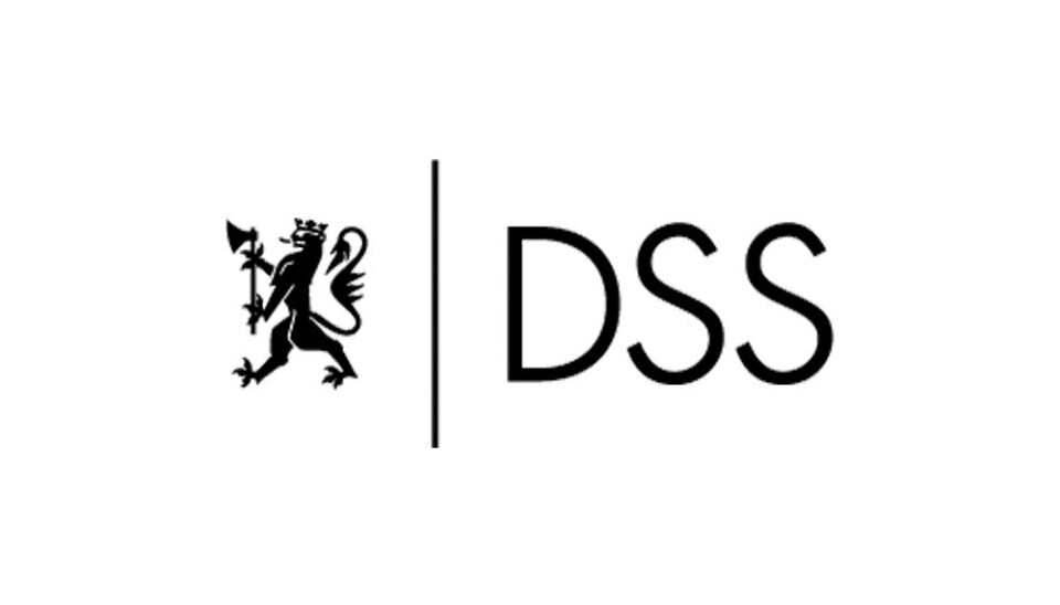 Leder i operativ sikringstjeneste
