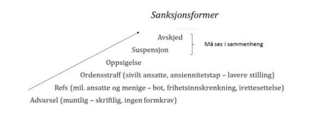 REAKSJONER: De ulike formene for tjenstlige reaksjoner er illustrert i denne skissen. REAKSJONER: De ulike formene for tjenstlige reaksjoner er illustrert i denne skissen.