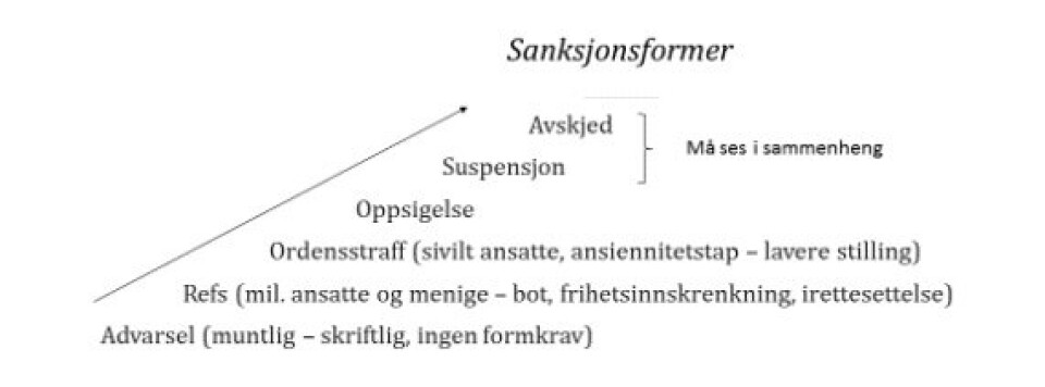 REAKSJONER: De ulike formene for tjenstlige reaksjoner er illustrert i denne skissen.