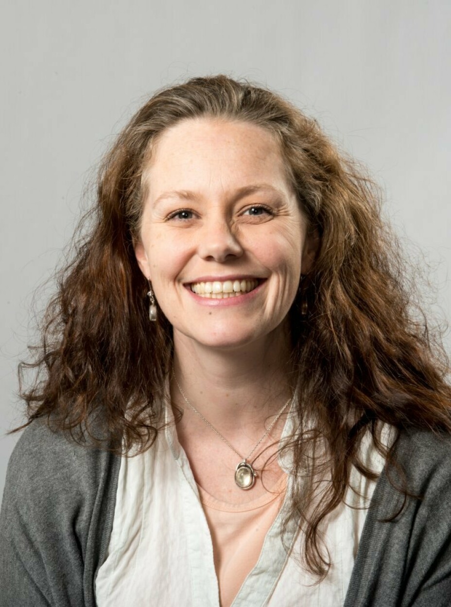 FFI: Sosialantropolog og seniorforsker ved Forsvarets forskningsinstitutt, Nina Hellum.