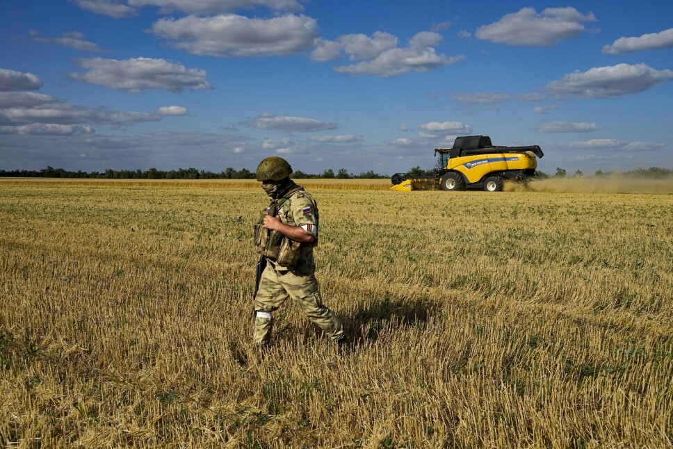 GÅTUR: En russisk soldat i en åker like ved Melitopol sør i Ukraina torsdag. Bildet er tatt den 14. juli, på en tur arrangert av det russiske forsvarsdepartementet.