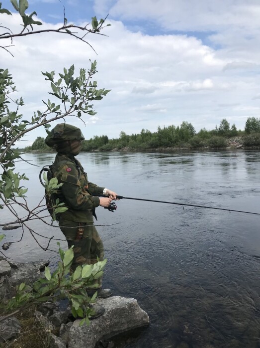 MYGGNETT: Det er ikke bare fisken som biter i Nord-Norge. MYGGNETT: Det er ikke bare fisken som biter i Nord-Norge.