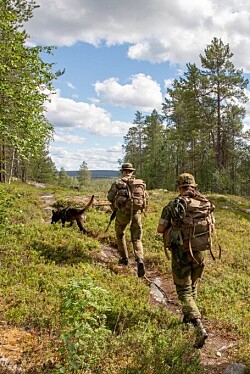 ET HUNDELIV: Både to- og firbeinte nyter naturen. ET HUNDELIV: Både to- og firbeinte nyter naturen.