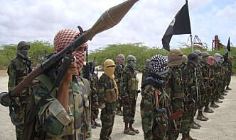 Etiopia: al-Shabaab-krigere knust i militæroperasjon