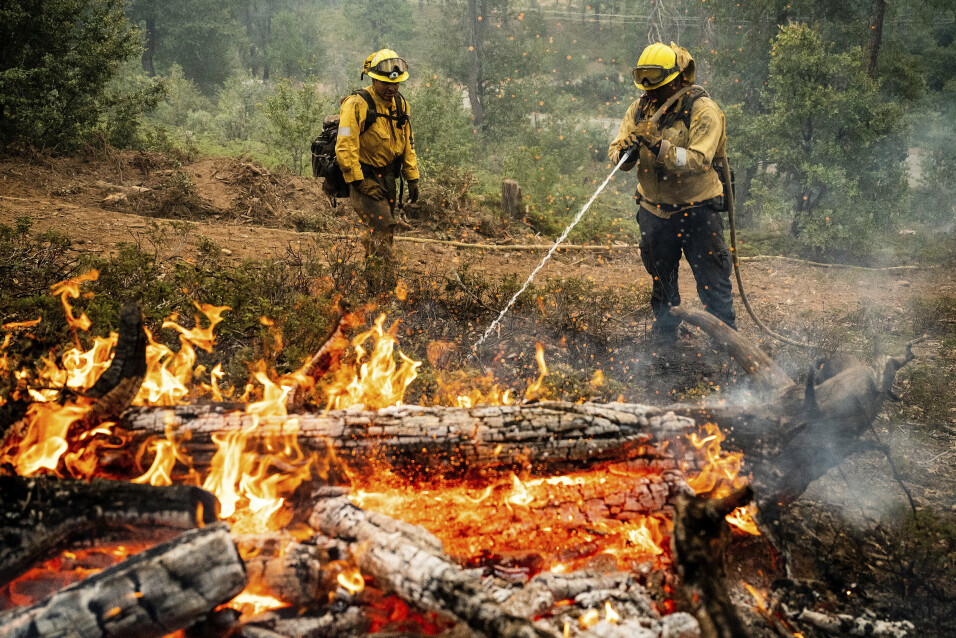 SKOGBRANN: Brannmenn kjemper mot Oak Fire i Jerseydale-samfunnet i Mariposa County i California, mandag 25. juli 2022. De er en del av Task Force Rattlesnake, som består av brannmenn og den amerikanske nasjonalgarden i California.