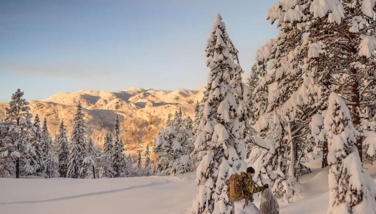 Flere soldater fikk frostskader på øvelse i Finnmark