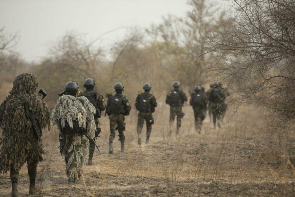 FLINTLOCK: Soldater fra Kamerun på patrulje for å lokalisere en landsby ved Daboya i Ghana under øvelse Flintlock. Bildet er datert 7. mars.