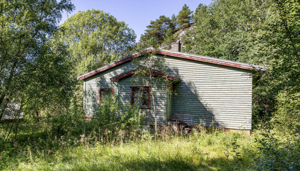 MYE Å TA TAK I: Et av de to trebyggene som står igjen på den 97 mål store eiendommen.