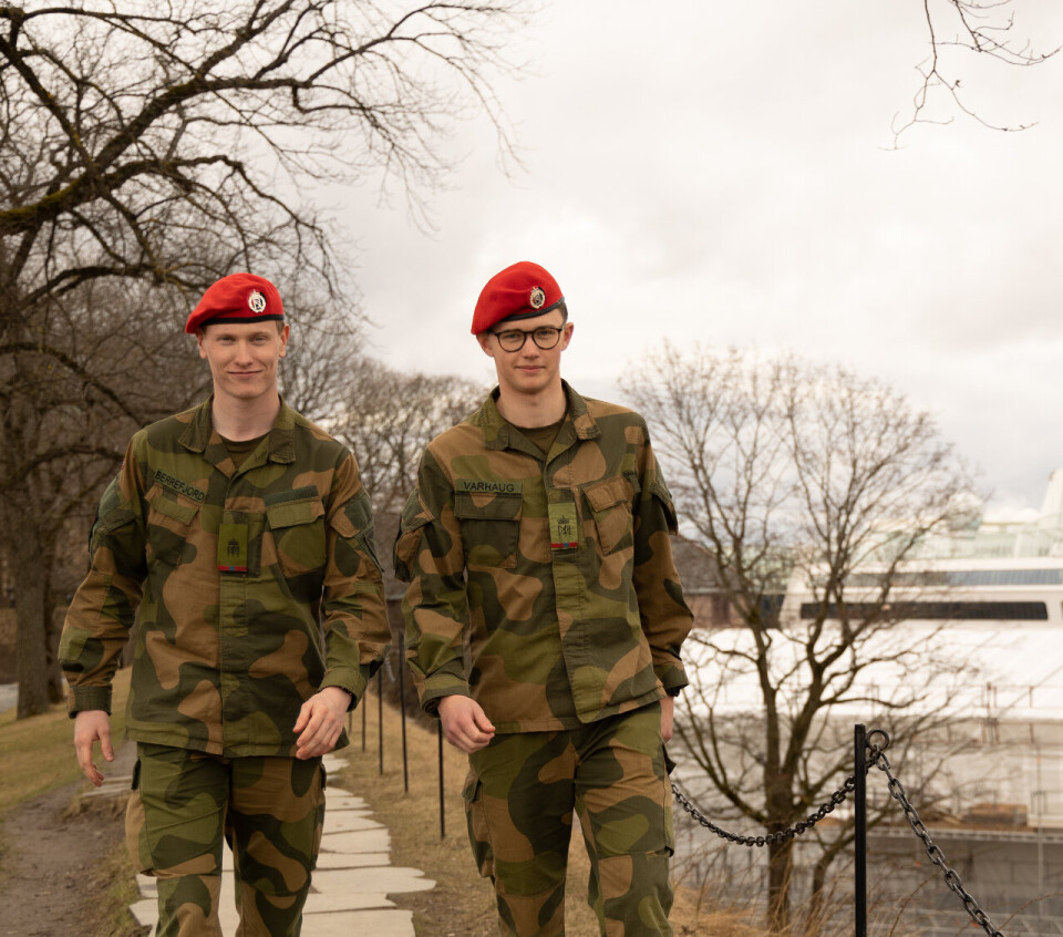 Soldater reddet vin for millioner