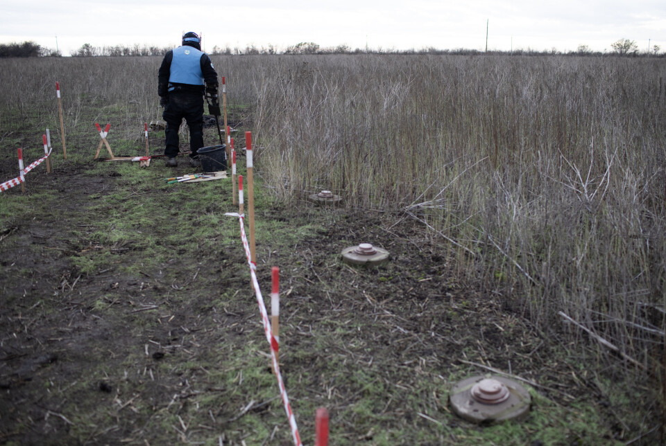 RYDDEHJELP: Ukrainske myndigheter har tildelt Norsk Folkehjelp oppgaven med å rydde et jordbruksområde på 350.000 kvadratmeter nær landsbyen Liubomyrivka. I det enorme åkerlandskapet ligger stridsvogn-miner på rekke og rad, hastig spredd ut over før russiske styrker måtte trekke seg tilbake fra området.