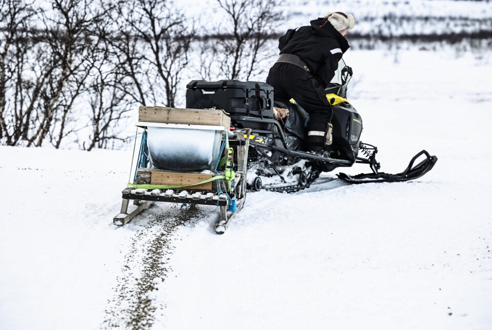 FORDELER: Fra et gammelt badekar med hull i bunn fordeles maten utover.