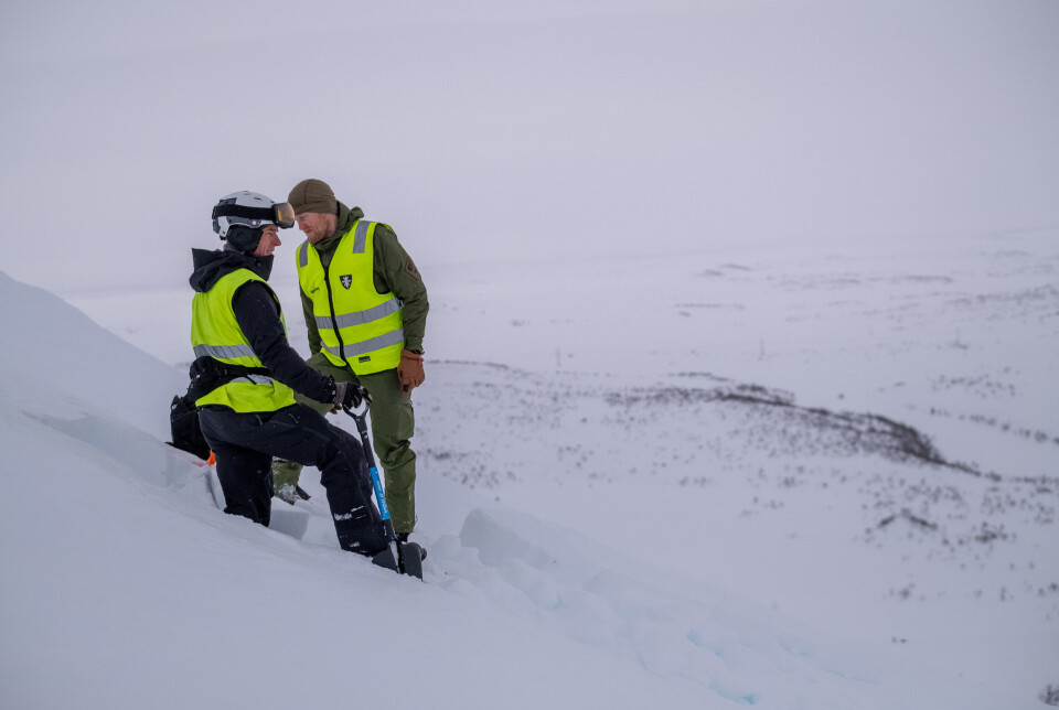 SJEKKER SNØEN: Eje Olsson og Torgeir Storflor sjekker skredfaren under Nordic Response 2024.