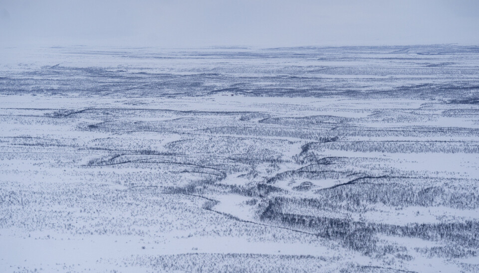 ØVELSE I FINNMARK: Dette oversiktsbildet viser Finnmarksvidda, der storøvelsen Nordic Response finner sted i disse dager.