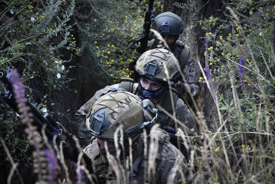Ni grunner til at Nato ikke har råd til å si «nei» til Ukraina