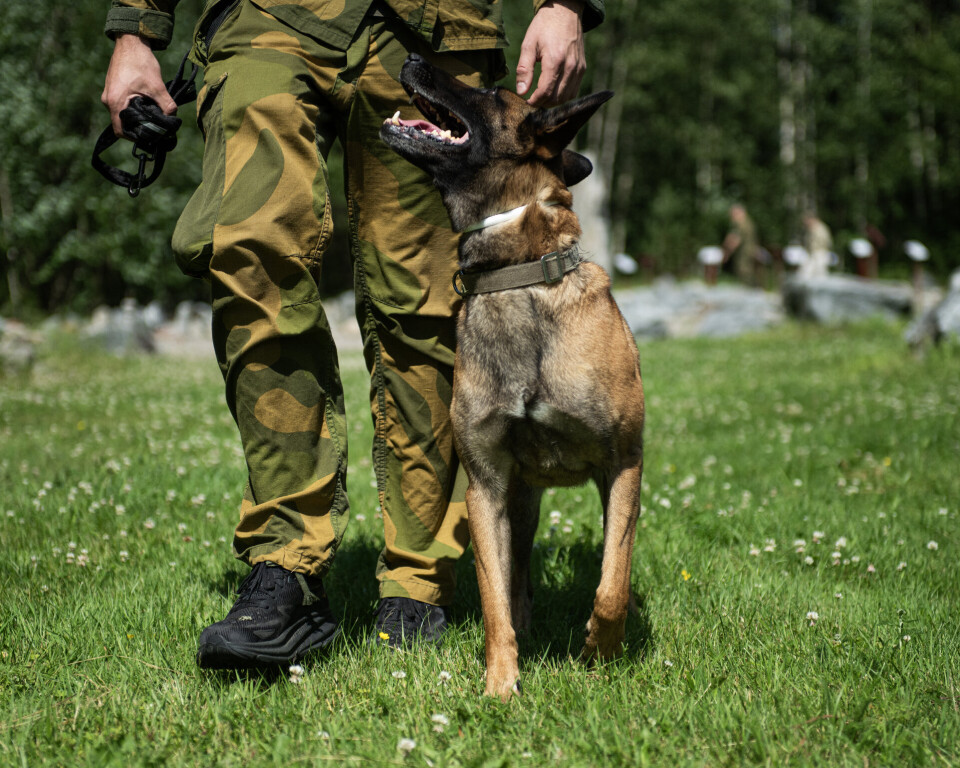Utvider til 15 måneders tjeneste for hunderøktere