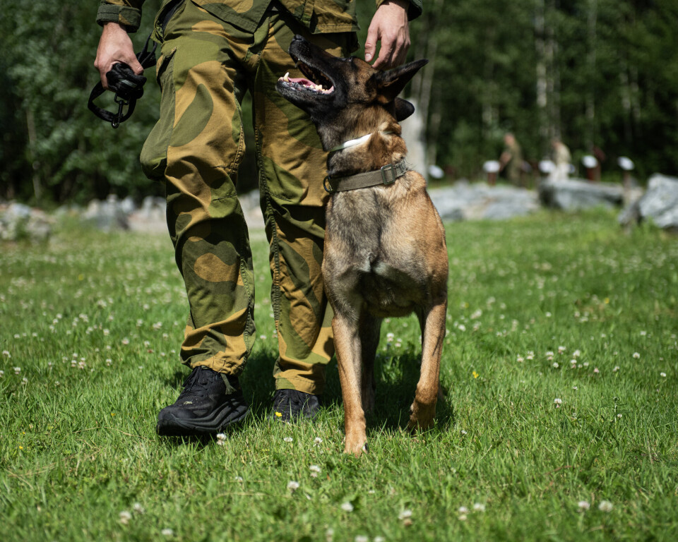 Norske Petra skal trygge Paris før OL