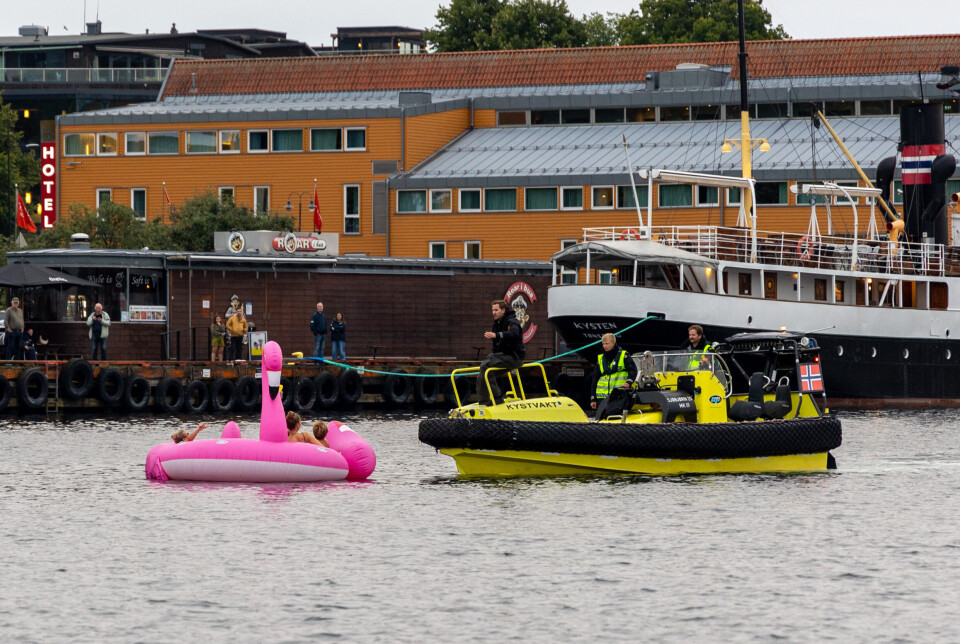 FLAMINGO: Den rosa flamingoen kom seg et stykke bort fra kaien før de ble møtt av Kystvakten og politiet.