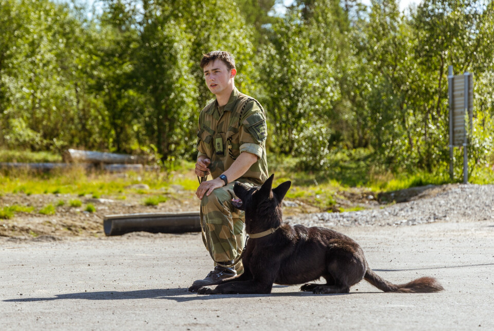 HUNDEHETE: Hundefører Mathias Myskja må passe på å kjøle ned hunden sin Bless på ofte om dagen.