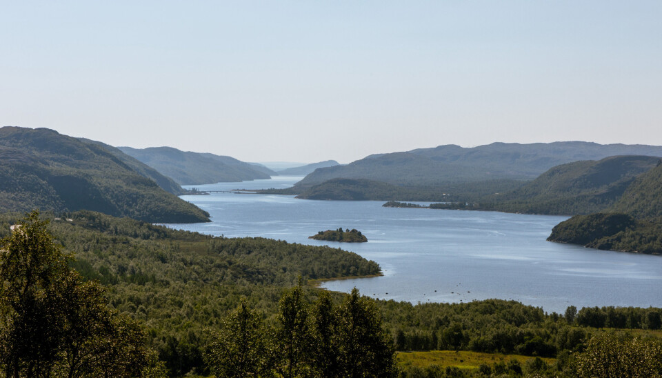 VARMEBØLGE: Det unormalt varme og tørret været får konsekvenser. Nå sendes det ut flere farevarsel for brann.