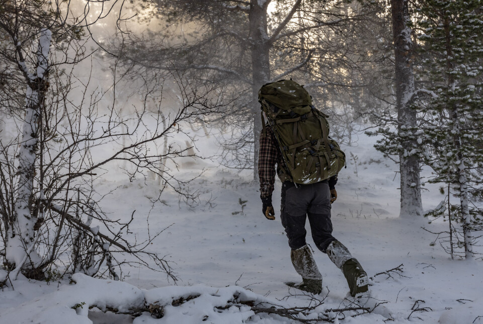 NÅR SESONGEN SKIFTER: Vinteren ypper frempå . Det er noe eget å være midt i naturen når sesongene skifter.