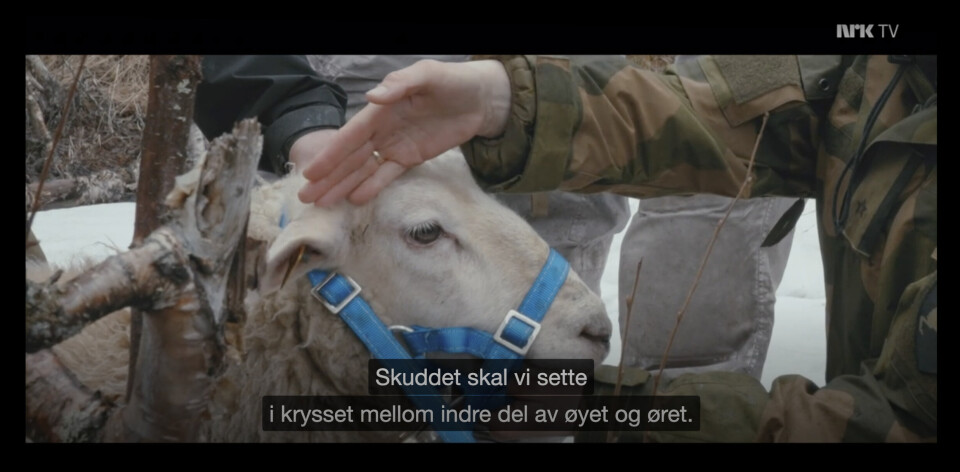FELTSLAKT: Et NRK-team fulgte en tropp artillerijegere i 2022. Serien «Klar til strid» viser en tilsvarende øvelse, som den i rapporten.