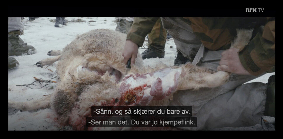 NRK: Teamet fra NRK filmet feltslakt-øvelse i serien «Klar til strid». Troppen som omtales i dokumentet, var ikke på denne øvelsen.