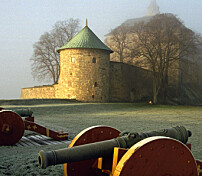 Kan ha funnet motstandsfolk som ble henrettet under krigen