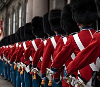 Narko-sjokk: Sabel-sniffing i den danske garden