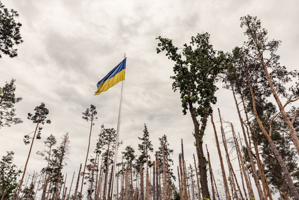 ANGREP: Natt til søndag kom nye droneangrep fra russisk side over til Ukraina. Bildet er fra en minnelund utenfor Kyiv.