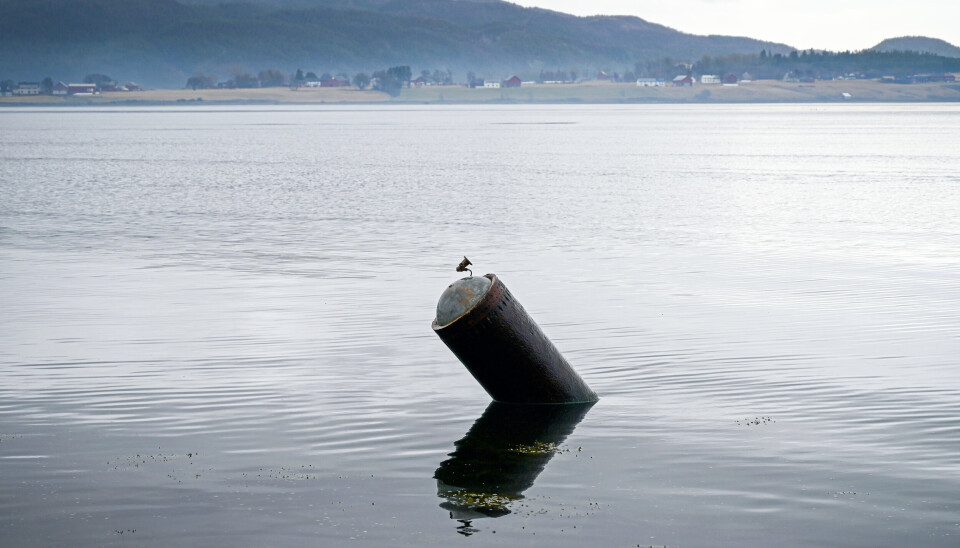 TORPEDO: Denne torpedoen hadde funnet veien fra havdypet og inn til vannkanten utenfor Rissa i Indre Fosen. Tirsdag ble den destruert av Forsvaret.