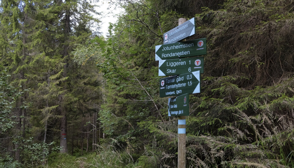 FRIHET: Kongeriket Norge er et fritt, selvstendig, udelelig og uavhendelig rike, står det i Grunnlovens paragraf 1. Bildet fra Nordmarka er ment som illustrasjon.