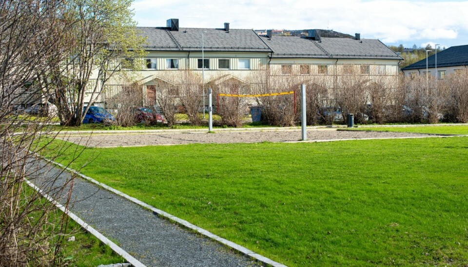 «OFFENTLIG TOALETT»: Langs trærne mot nabohusene stod soldatene på rad og rekke og pisset på lørdag.