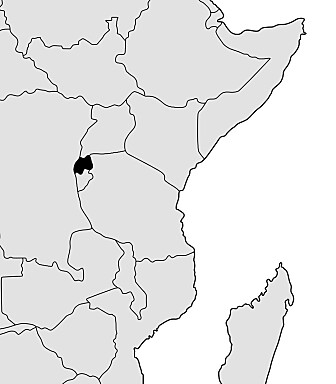 FLYKTET HERFRA: Kart av Afrika. Rwanda er markert i svart.