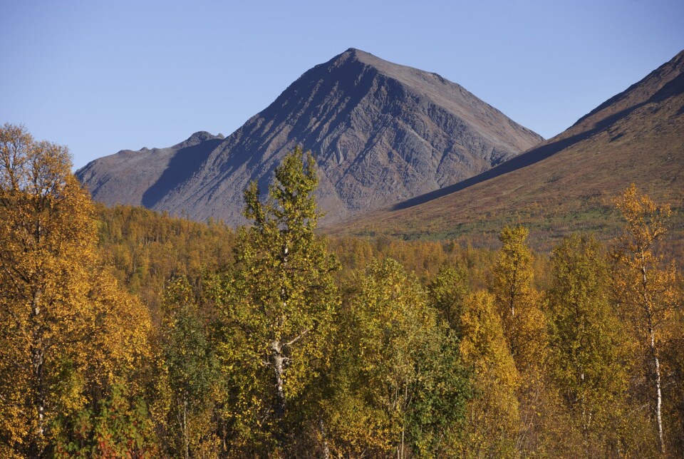 BLÅTIND: Ulykken skjedde ved Blåtind skytefelt. Bildet viser fjellet som har gitt det navn.