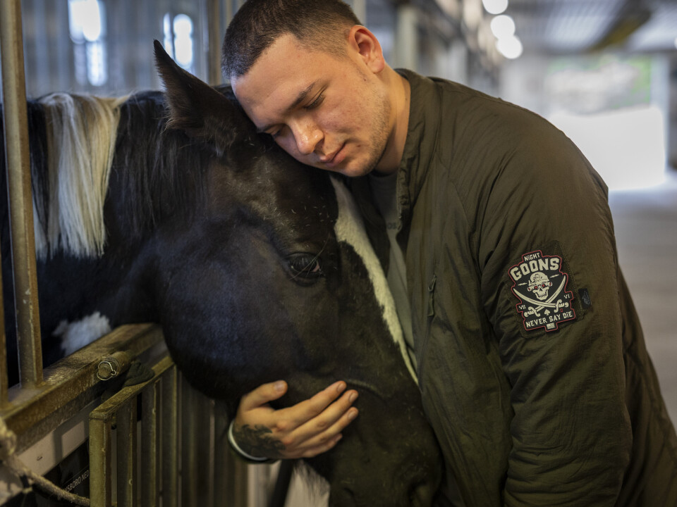 HESTETERAPI: – Her er vi rundt hundre ukrainere som trenger hjelp. I Ukraina er det tusenvis, sa den ukrainske sanitetssoldaten Vlad Sjvedtsjykov (23), da han var én av 108 deltakere på Repowers psykologiske dekompresjonsprogram i september.